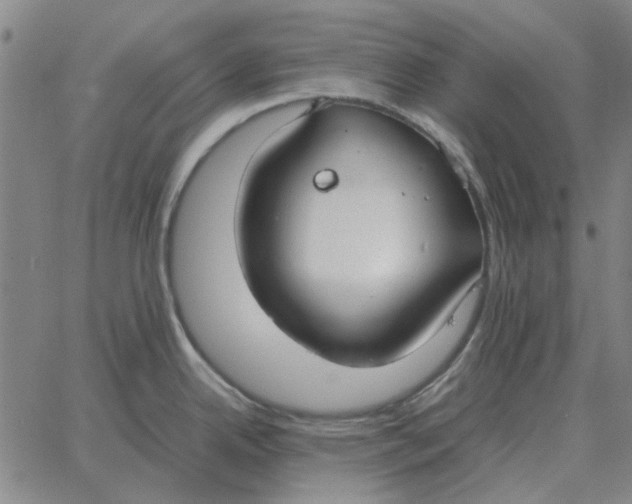 X0000061721342200512231359