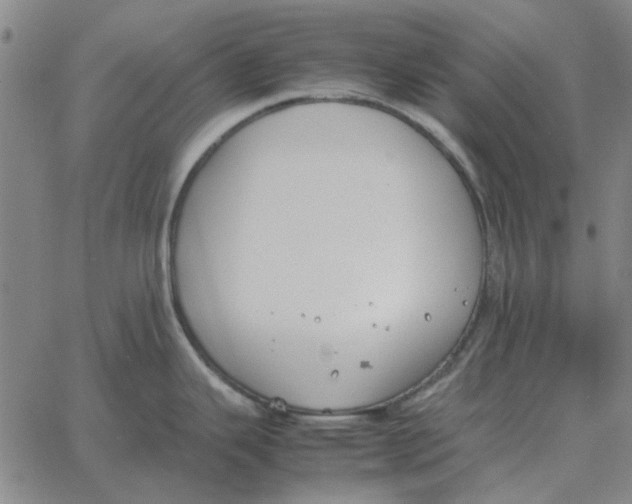 X0000061721343200512231359