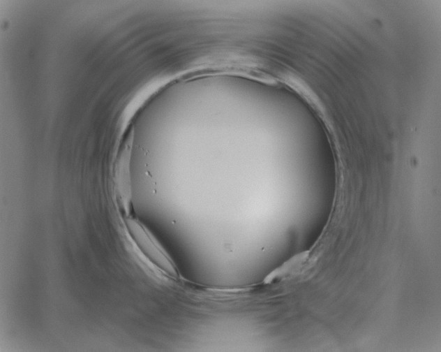 X0000061721344200512231359