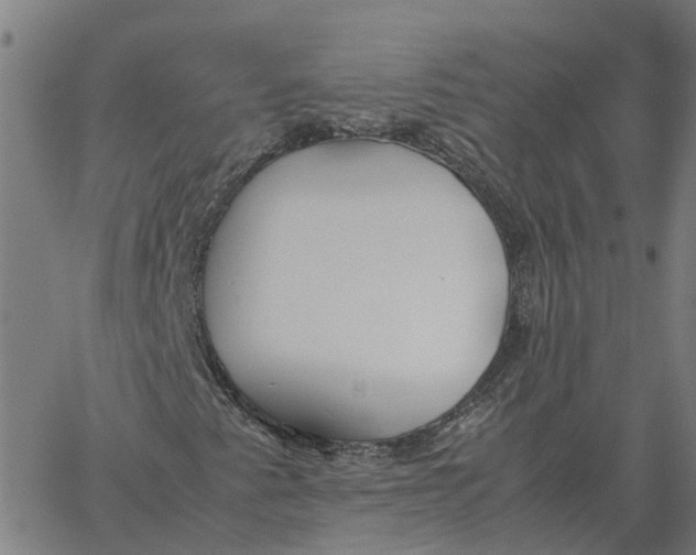 X0000061721345200512231358