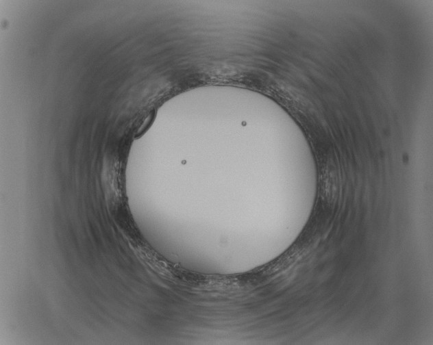 X0000061721346200512231358