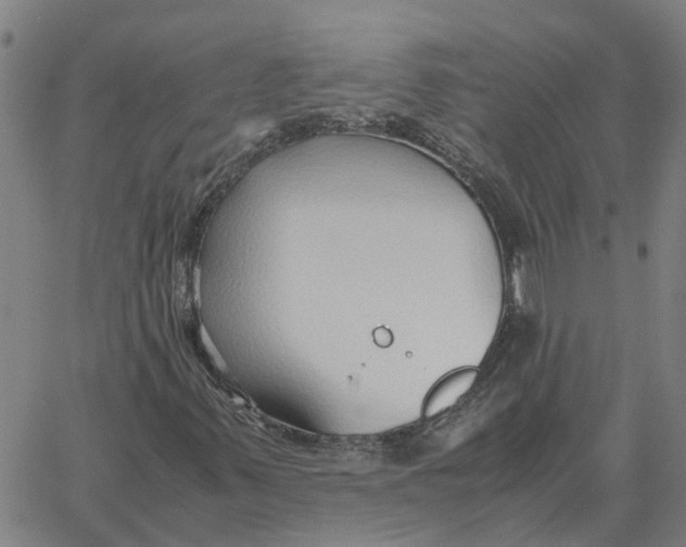 X0000061721347200512231358