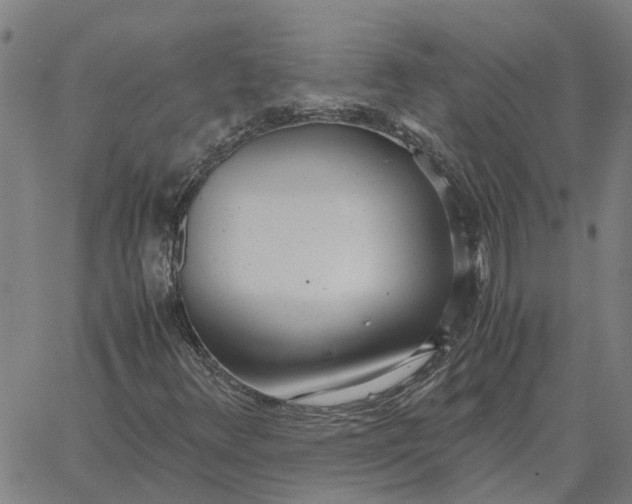 X0000061721348200512231358