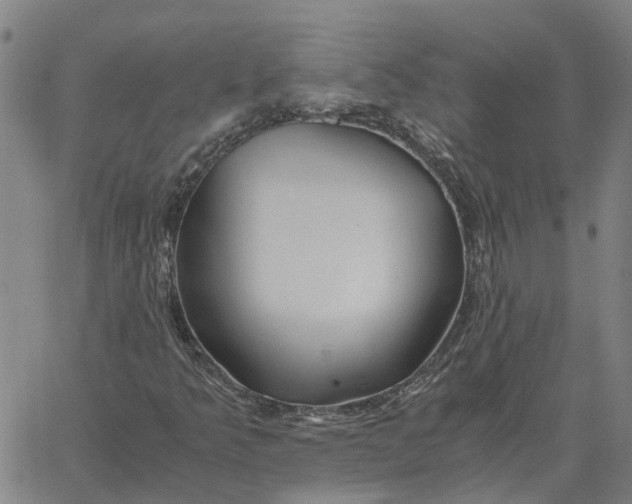 X0000061721349200512231358