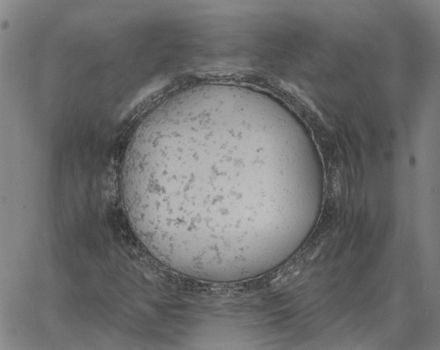 X0000061721350200512231358