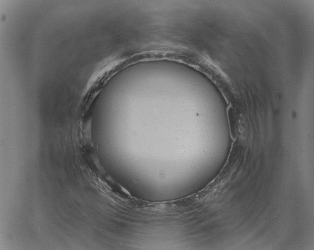 X0000061721352200512231358