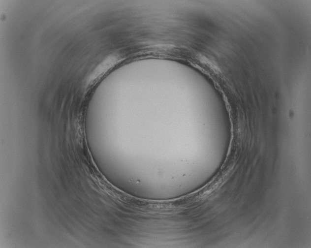 X0000061721354200512231358