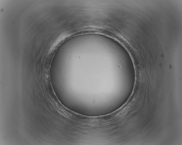 X0000061721355200512231358