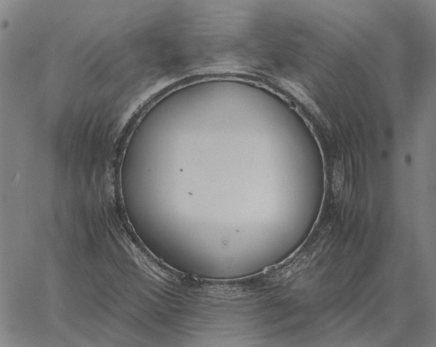 X0000061721356200512231358