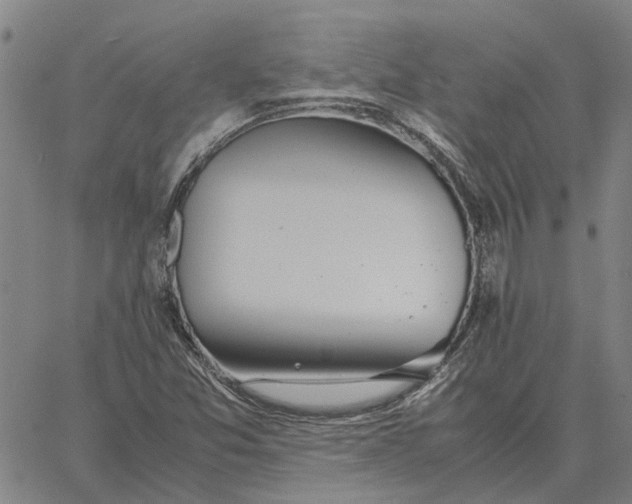 X0000061721357200512231358