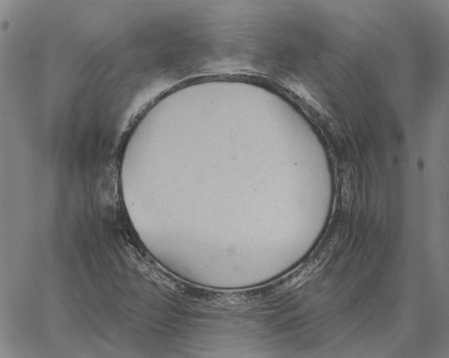 X0000061721358200512231358