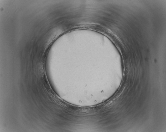 X0000061721362200512231358