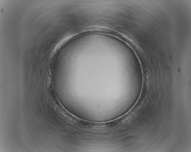 X0000061721363200512231358