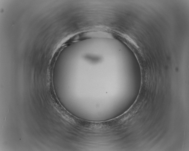 X0000061721364200512231358