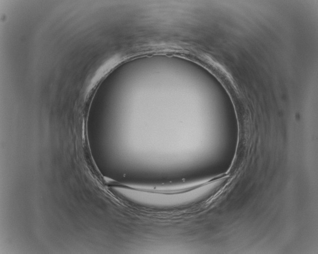 X0000061721365200512231358