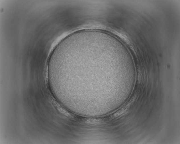 X0000061721366200512231358