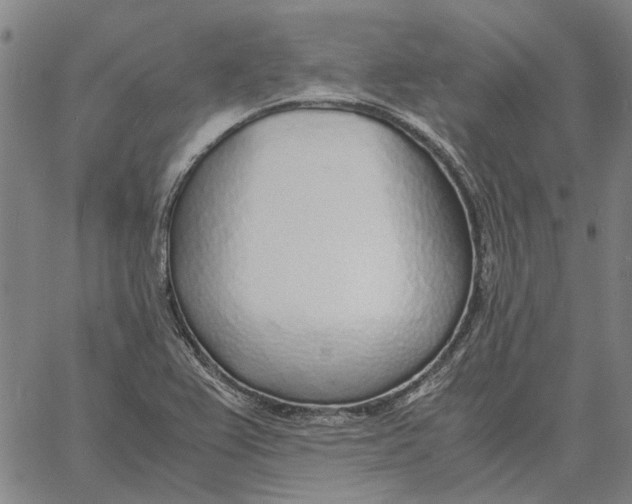 X0000061721367200512231358