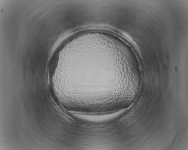 X0000061721368200512231358