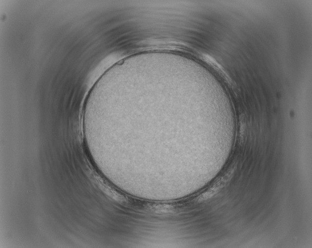 X0000061721370200512231358