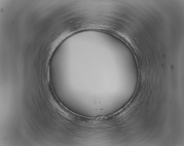 X0000061721371200512231358