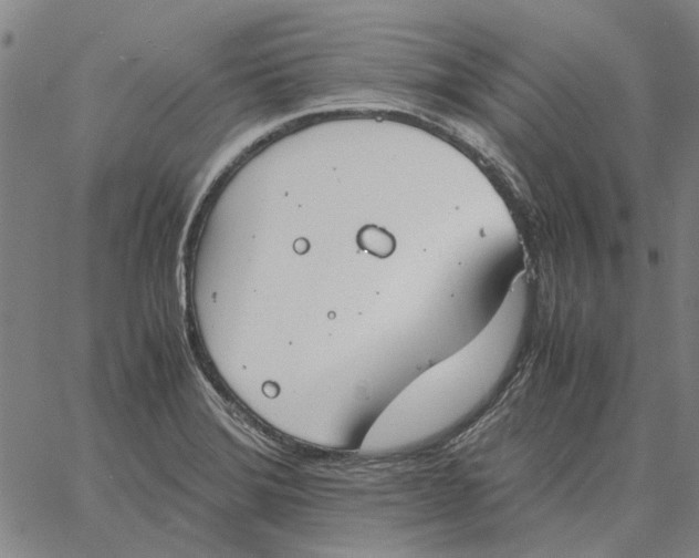 X0000061721372200512231358