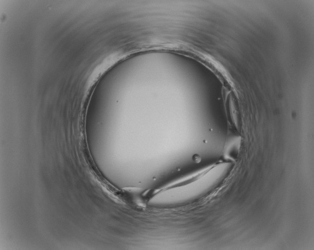 X0000061721373200512231358