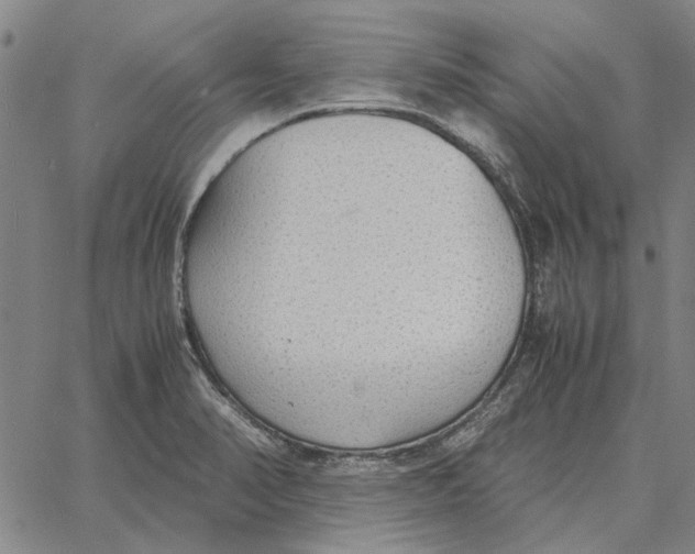 X0000061721374200512231357