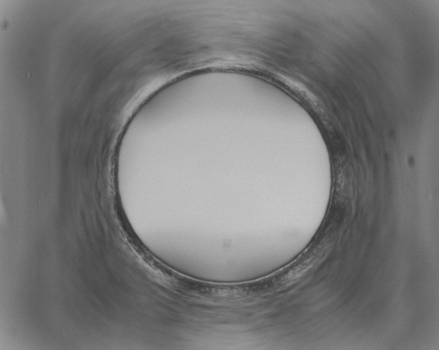 X0000061721375200512231357