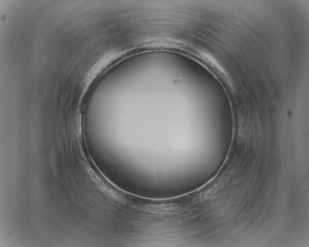 X0000061721376200512231357