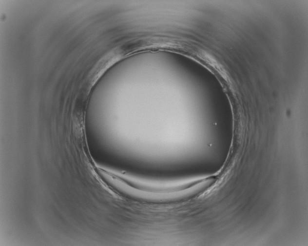 X0000061721377200512231357