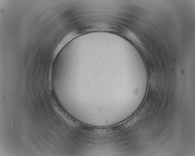 X0000061721378200512231357