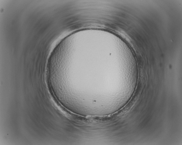 X0000061721379200512231357