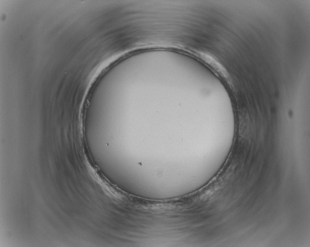 X0000061721380200512231357