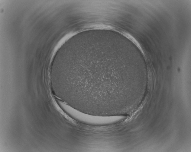 X0000061721381200512231357