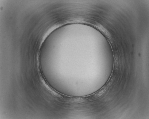 X0000061721382200512231357