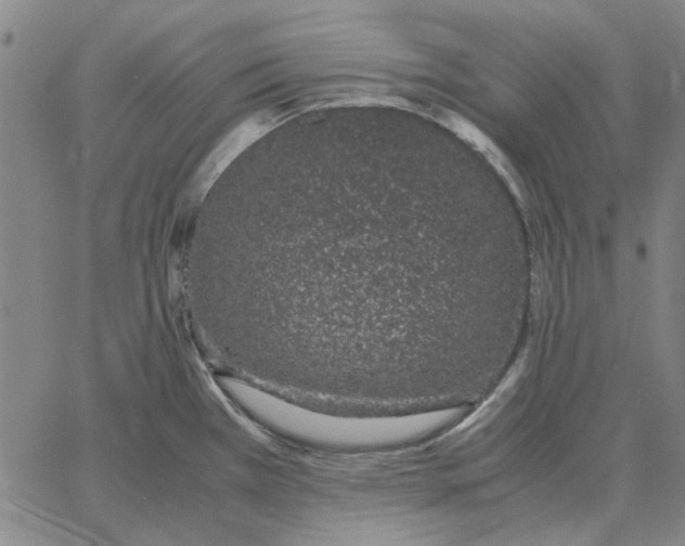 X0000061721385200512231357