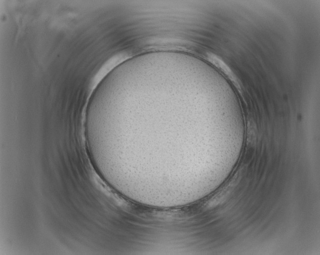 X0000061721386200512231357