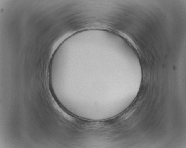 X0000061721387200512231357