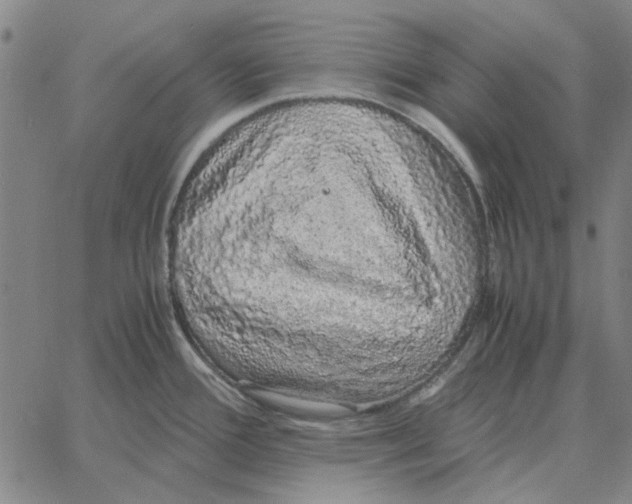 X0000061721388200512231357