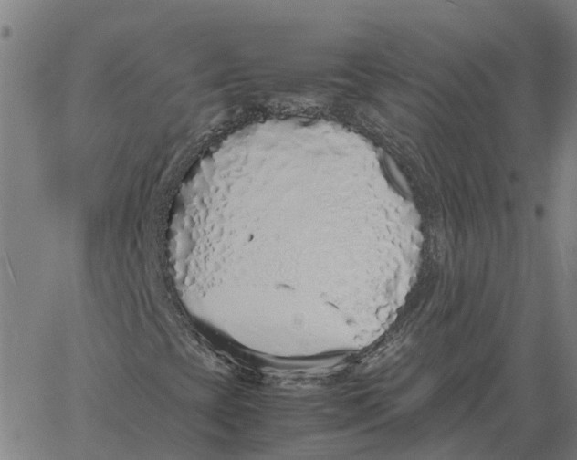 X0000061721393200512231356