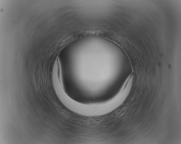 X0000061721394200512231356