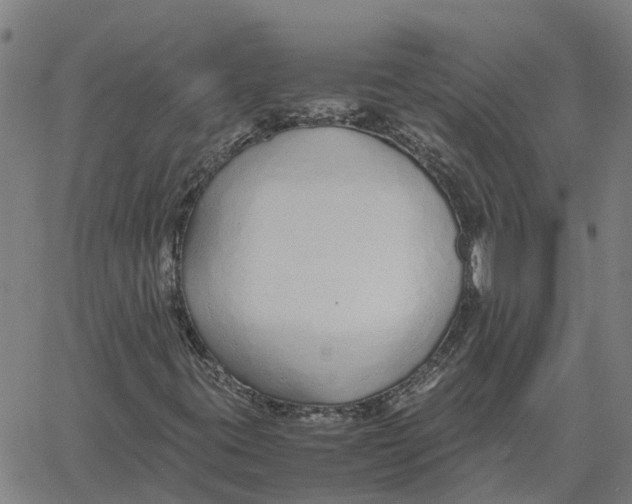 X0000061721395200512231356