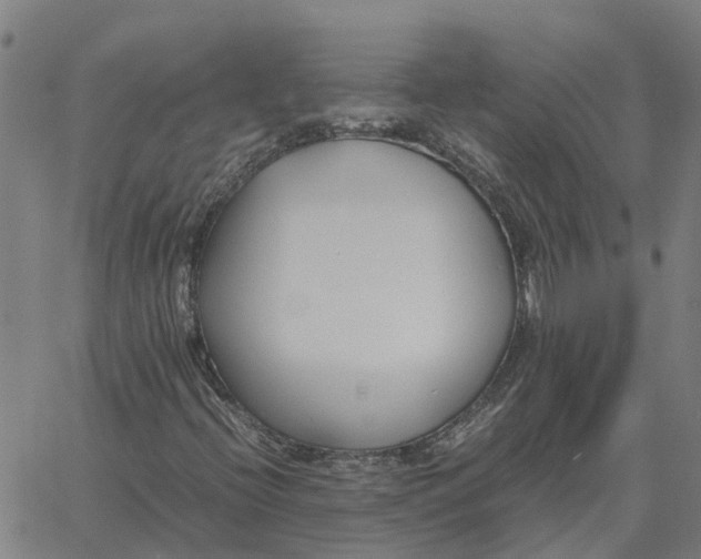 X0000061721396200512231356