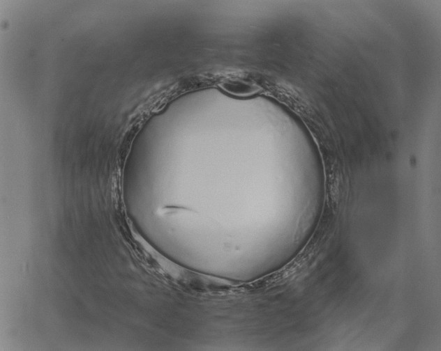 X0000061721397200512231356