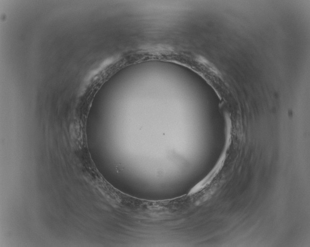 X0000061721398200512231356