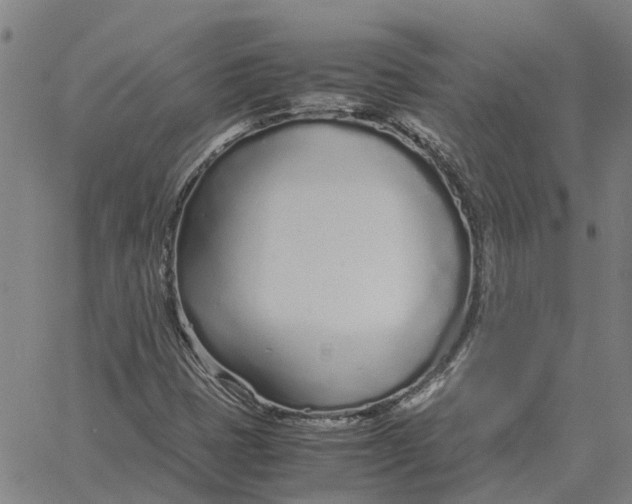 X0000061721401200512231357