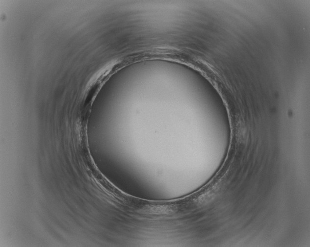 X0000061721402200512231357