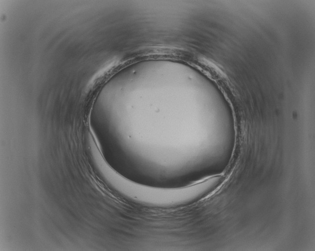 X0000061721403200512231357