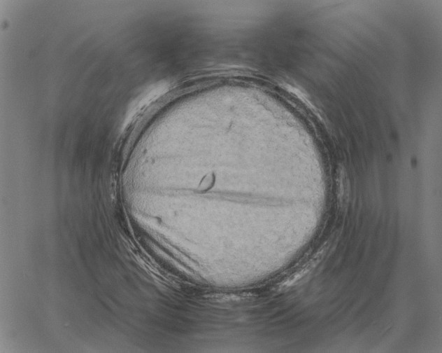 X0000061721405200512231357