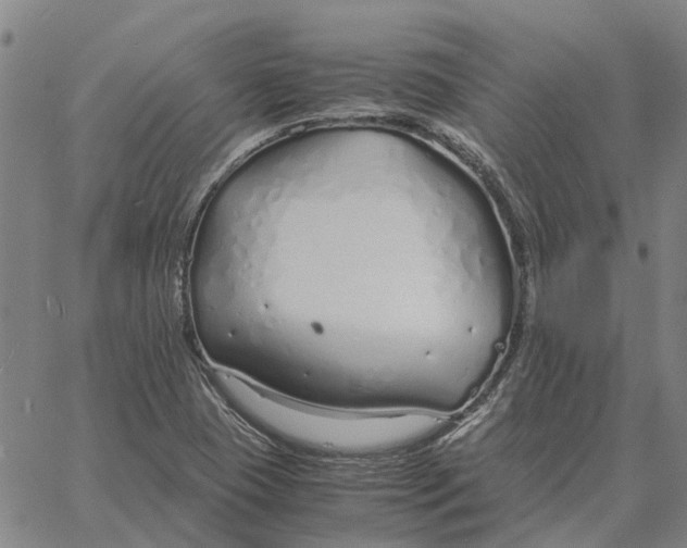 X0000061721409200512231357